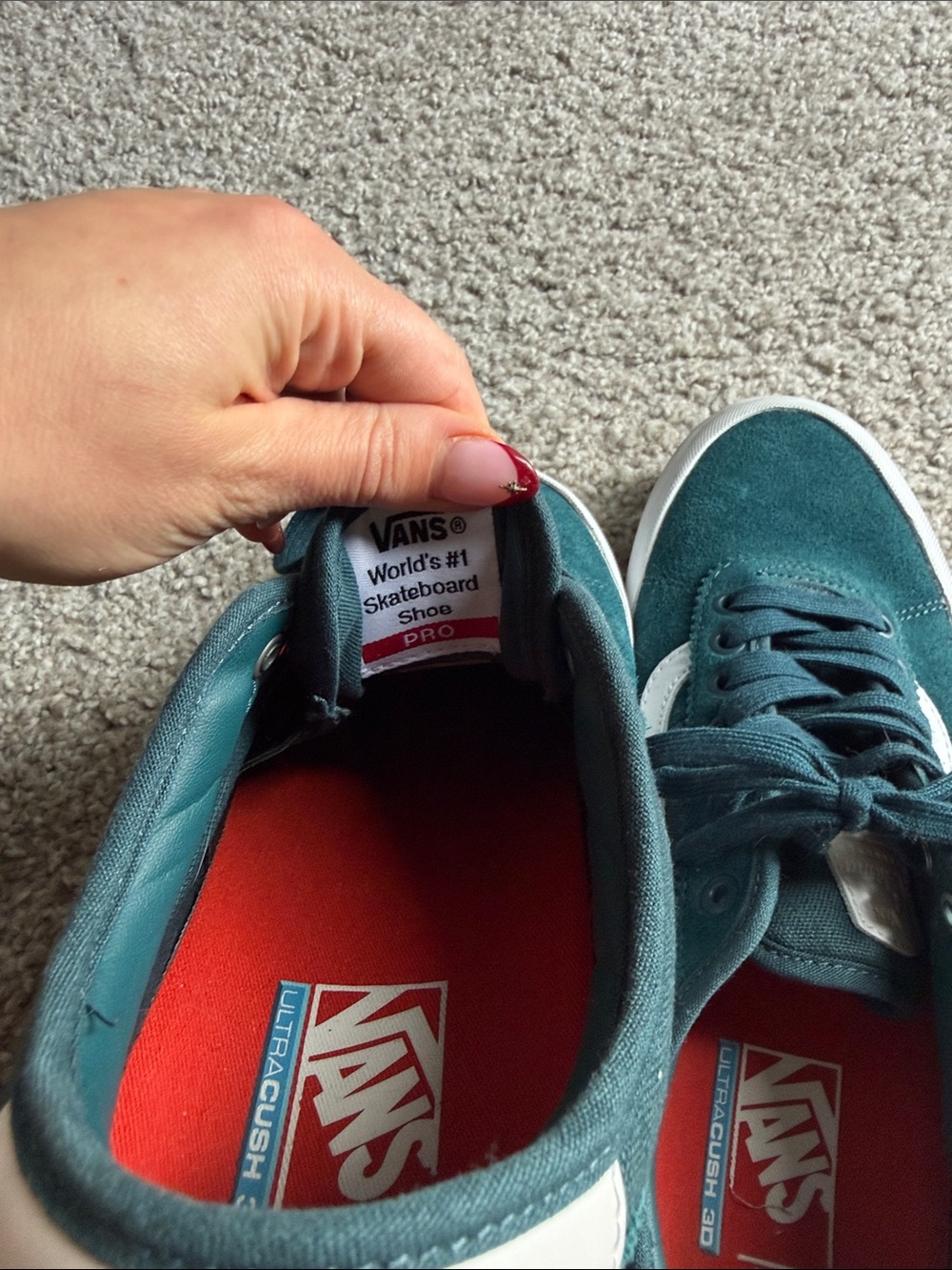 VANS Chima Pro 2 Canvas, Prime Atlantic - Picture 4 of 6